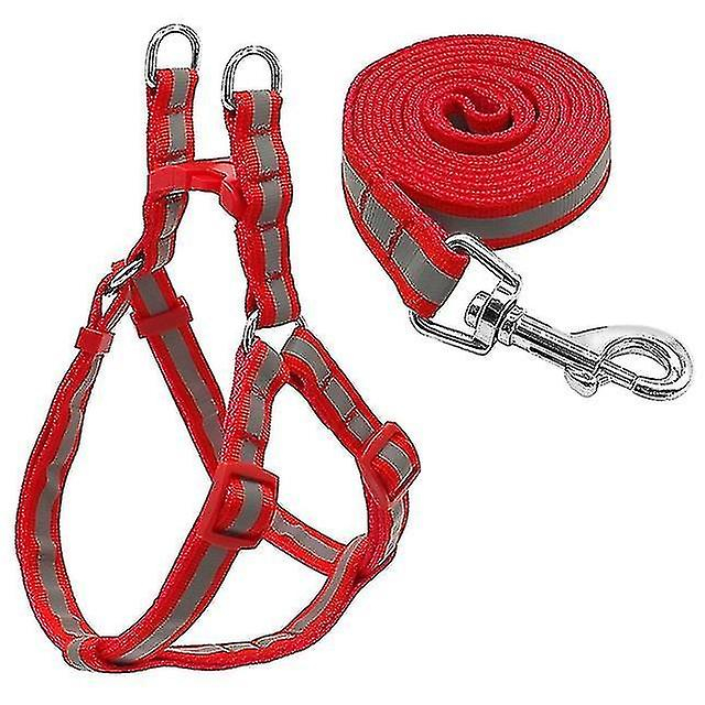 Juego De Correas Para Perros, Jaulas Para Pájaros, Baños Para Perros Pequeños Y Medianos - Venta Internacional.