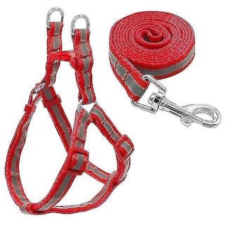 Foto 1 | Juego De Correas Para Perros, Jaulas Para Pájaros, Baños Para Perros Pequeños Y Medianos - Venta Internacional.