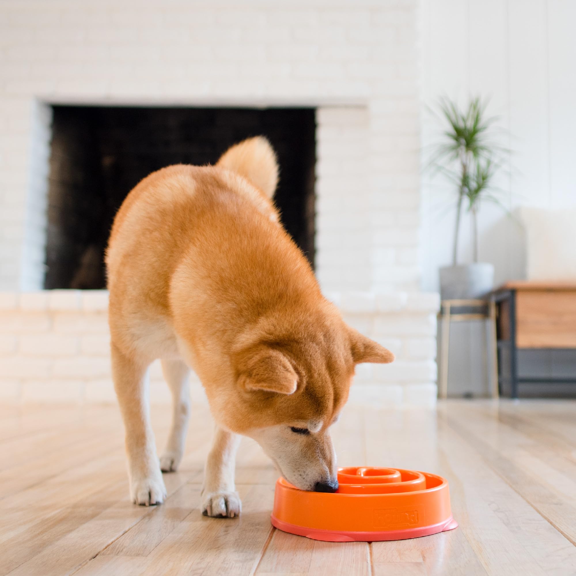 Foto 6 pulgar | Dog Bowl Outward Hound Fun Feeder Slo Bowl, Alimentador Lento, Naranja - Venta Internacional.