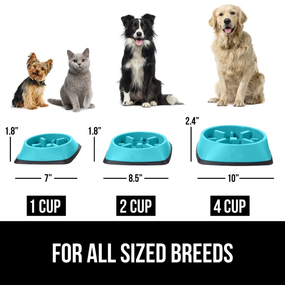 Foto 7 pulgar | Cuenco Para Perros Slow Feeder Gorilla Grip, 1 Taza, Turquesa - Venta Internacional.