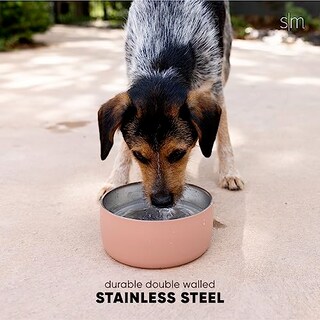 Foto 3 | Cuenco De Agua Para Mascotas Bentley Simple Y Moderno De Acero Inoxidable - Venta Internacional.