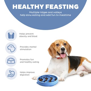 Foto 3 | Dog Bowl Outward Hound Fun Feeder Slo Bowl, Alimentador Lento, Azul - Venta Internacional.