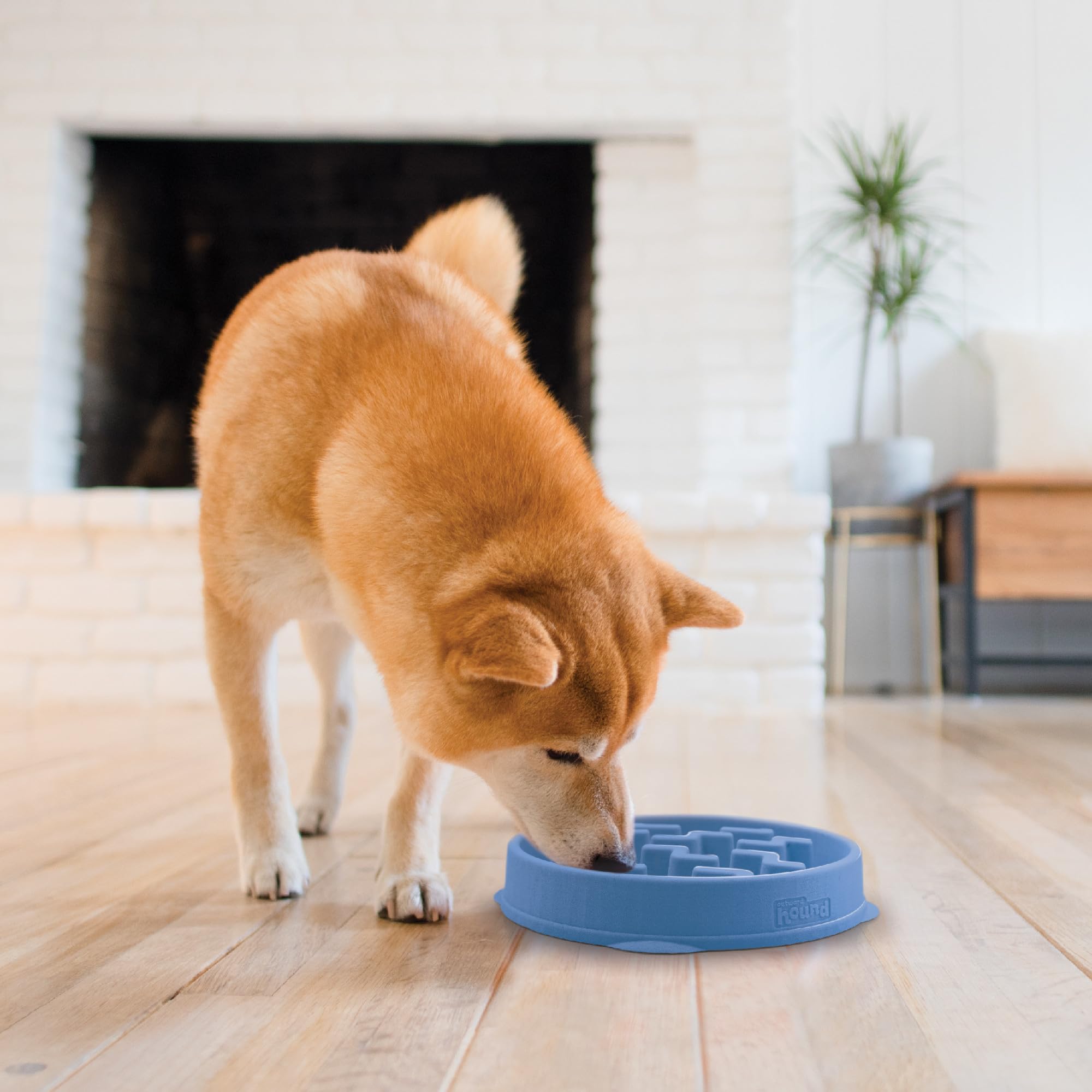 Foto 6 pulgar | Dog Bowl Outward Hound Fun Feeder Slo Bowl, Alimentador Lento, Azul - Venta Internacional.