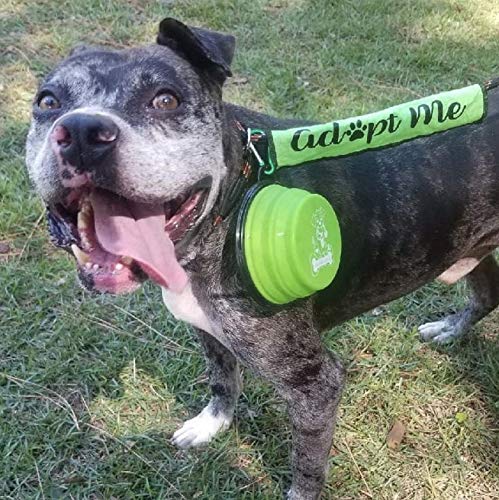 Foto 7 pulgar | Cuencos Plegables Para Perros Mr. Peanut, Juego De 3 Colores, Plato - Venta Internacional.