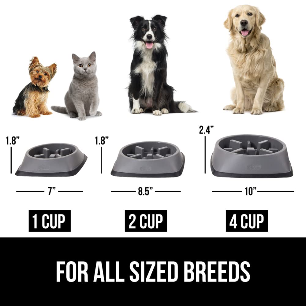 Foto 7 pulgar | Cuenco Para Perros Slow Feeder Gorilla Grip, 1 Taza, Gris, 100% Libre De Bpa - Venta Internacional.