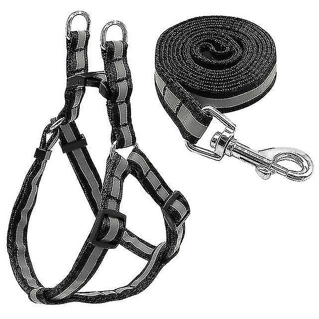 Juego De Correas De Nailon Reflectante Para Perros Pequeños Y Medianos, Talla S - Venta Internacional.