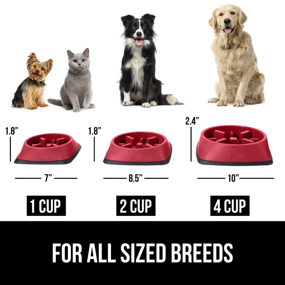 Foto 7 pulgar | Cuenco Para Perros Slow Feeder Gorilla Grip, 1 Taza, Rojo, 100% Libre De Bpa - Venta Internacional.