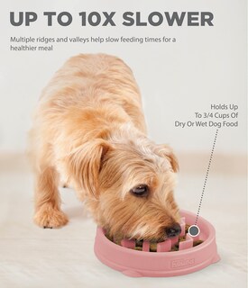 Foto 3 | Comedero Para Perros Outward Hound Fun Feeder Slo Bowl, Alimentador Lento, Rosa - Venta Internacional.
