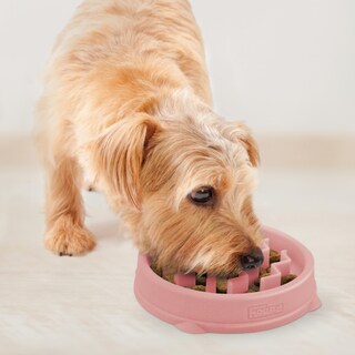 Foto 6 | Comedero Para Perros Outward Hound Fun Feeder Slo Bowl, Alimentador Lento, Rosa - Venta Internacional.