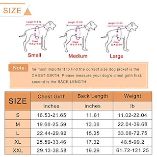 Foto 3 | Traje De Baño De Seguridad Para Perros Pequeños Con Chaleco Salvavidas Haocoo Saver - Venta Internacional.
