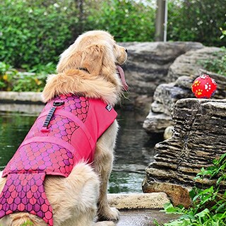 Foto 4 | Traje De Baño De Seguridad Para Perros Pequeños Con Chaleco Salvavidas Haocoo Saver - Venta Internacional.