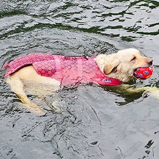 Foto 5 | Traje De Baño De Seguridad Para Perros Pequeños Con Chaleco Salvavidas Haocoo Saver - Venta Internacional.
