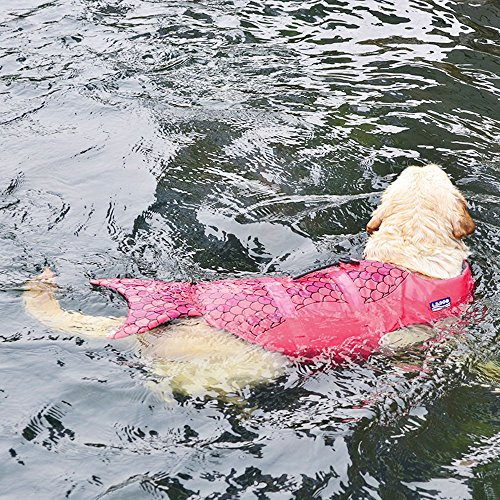 Foto 7 pulgar | Traje De Baño De Seguridad Para Perros Pequeños Con Chaleco Salvavidas Haocoo Saver - Venta Internacional.