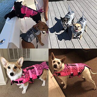 Foto 7 | Traje De Baño De Seguridad Para Perros Pequeños Con Chaleco Salvavidas Haocoo Saver - Venta Internacional.
