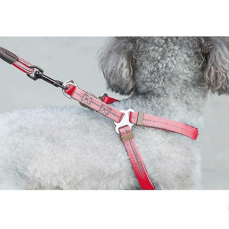 Foto 4 pulgar | Set De Baños Para Pájaros Con Forma De Jaula Para Pájaros Con Collar, Arnés Y Correa - Venta Internacional.