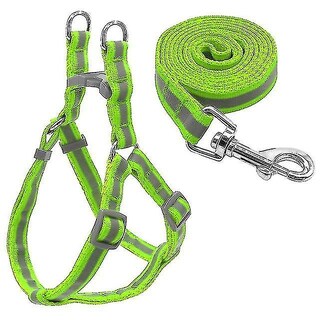 Foto 1 | Set De Correas De Nailon Reflectante Para Perros Pequeños Y Medianos, Color Verde - Venta Internacional.