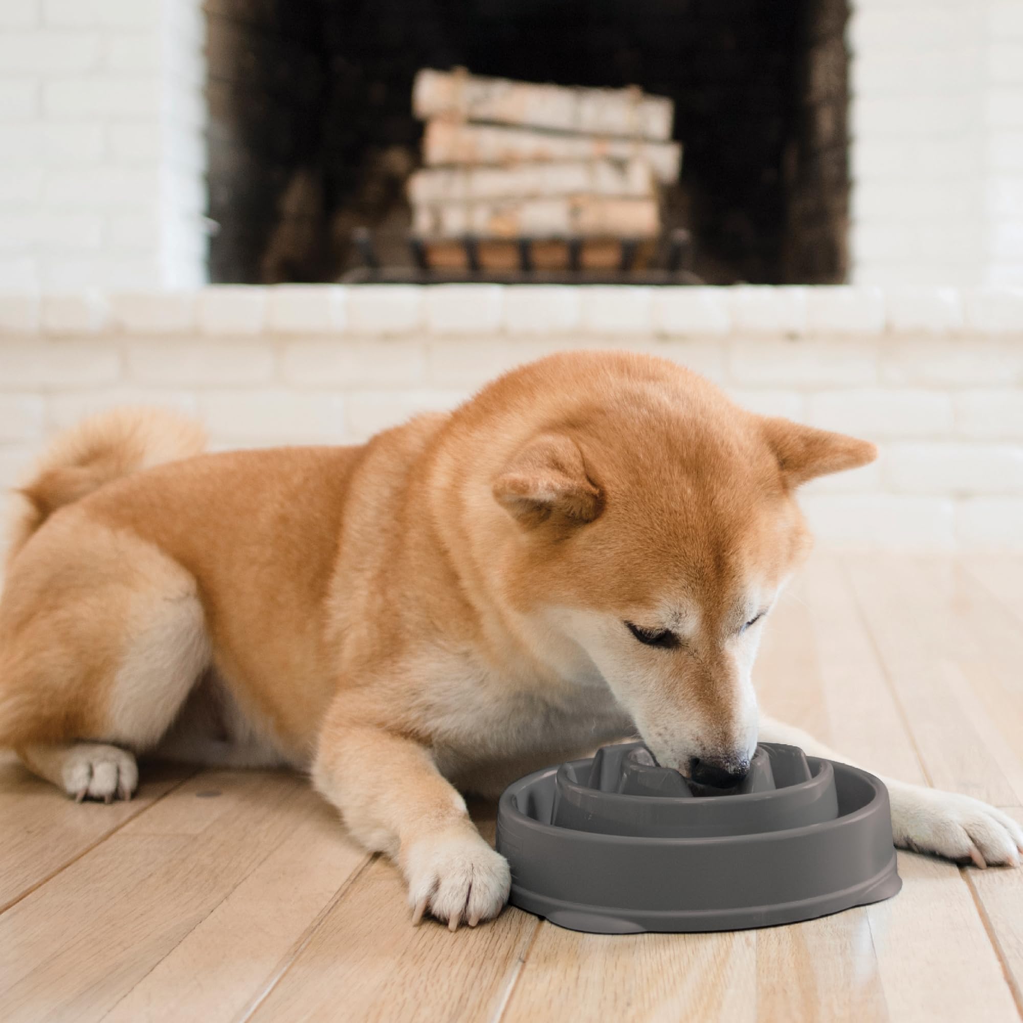 Foto 7 pulgar | Plato para Perros Slow Feeder Outward Hound Fun Gris - Venta Internacional