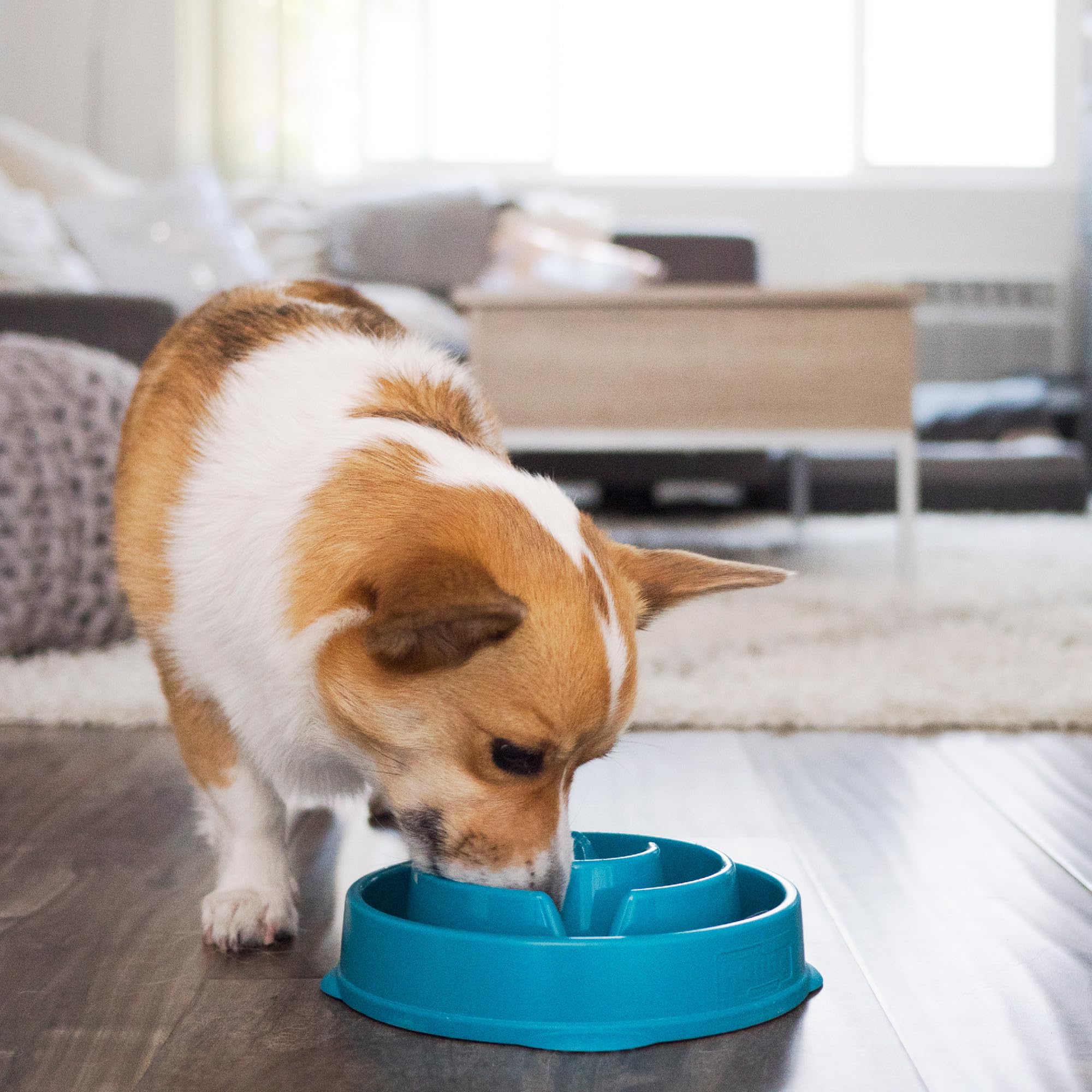 Foto 7 pulgar | Dog Bowl Outward Hound Fun Feeder Slo Bowl, Alimentador Lento - Venta Internacional.
