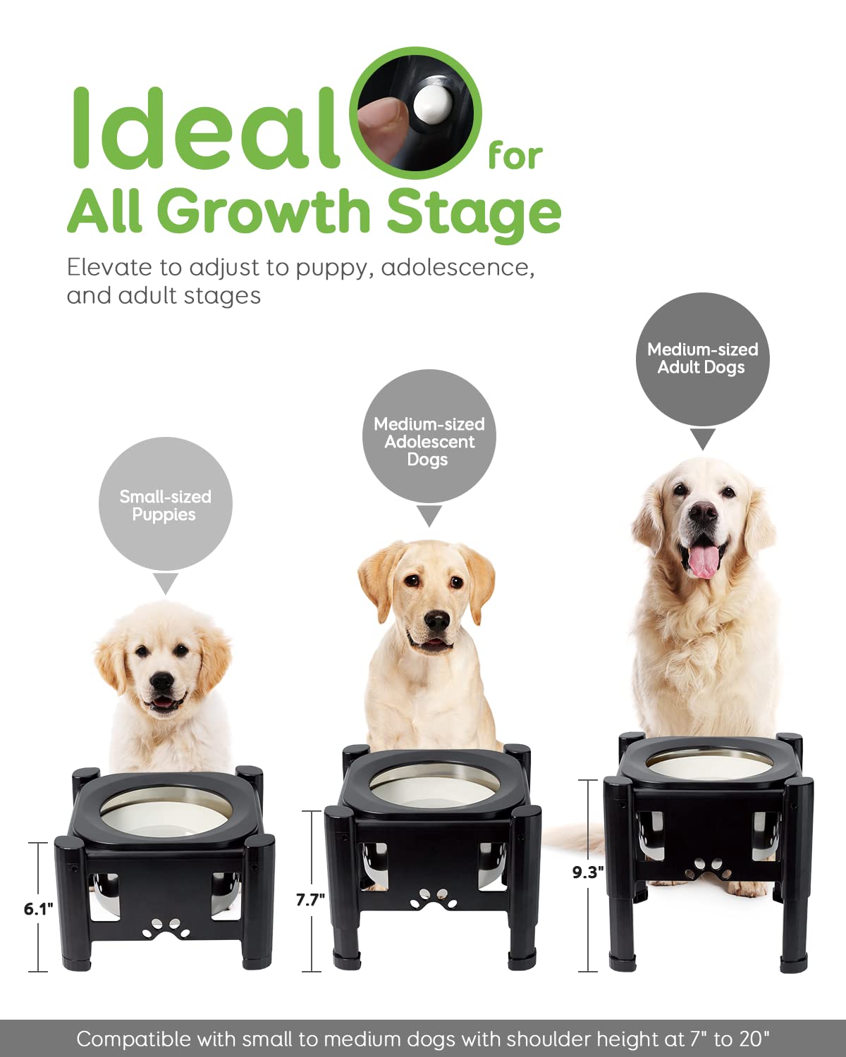Foto 2 | Bebedero Elevado Para Perros Pawque Elevated, Alimentador Lento, 2,5 L - Venta Internacional.