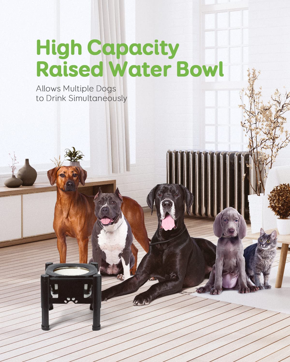 Foto 8 pulgar | Bebedero Elevado Para Perros Pawque Elevated, Alimentador Lento, 2,5 L - Venta Internacional.