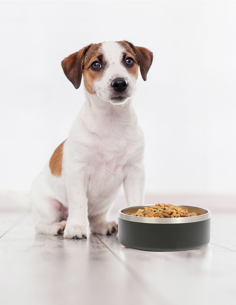 Foto 2 | Plato Para Mascota Storyland 1.2 L