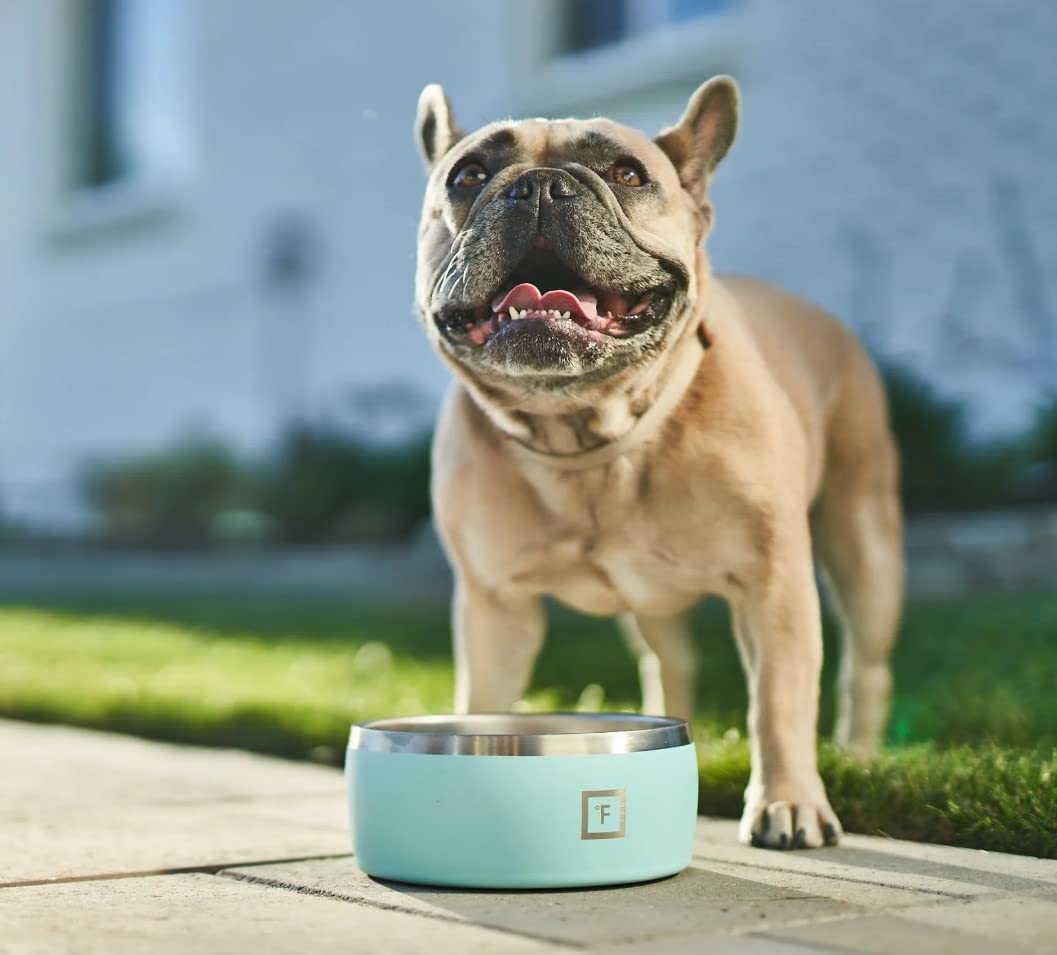 Foto 3 pulgar | Cuenco Para Perros Iron °flask, 1,9 L, Acero Inoxidable, Goma Antideslizante - Venta Internacional.