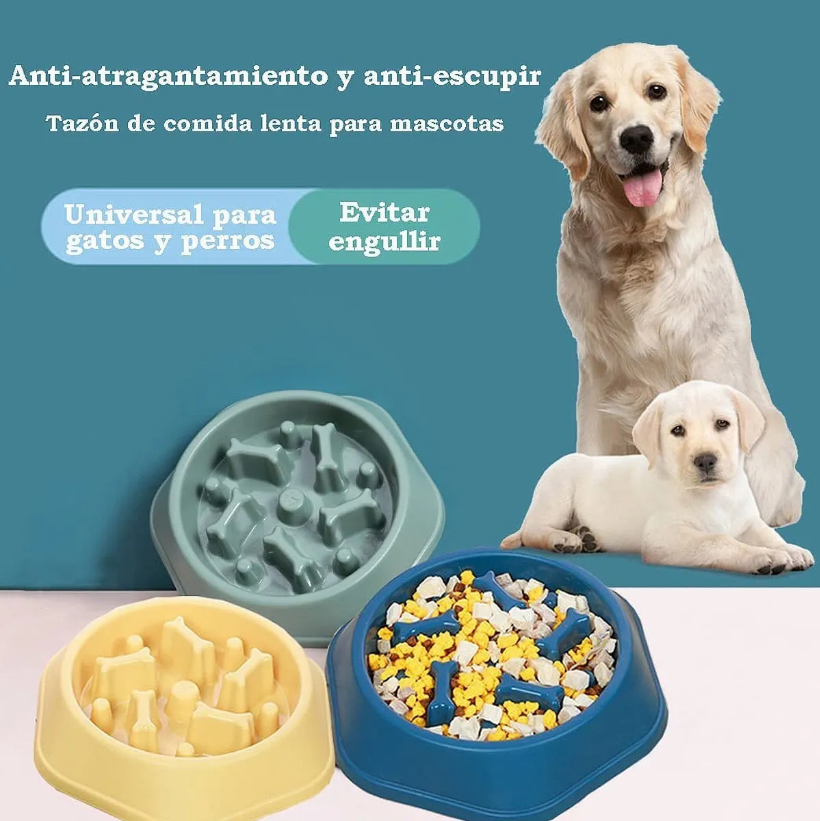 Foto 4 pulgar | Plato Xtellar De Alimentación Lenta Para Perro Color Verde