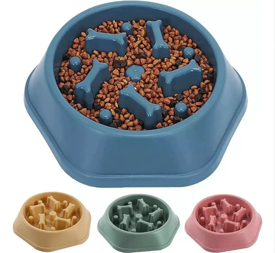 Foto 4 pulgar | Plato para Perro Xtellar Azul