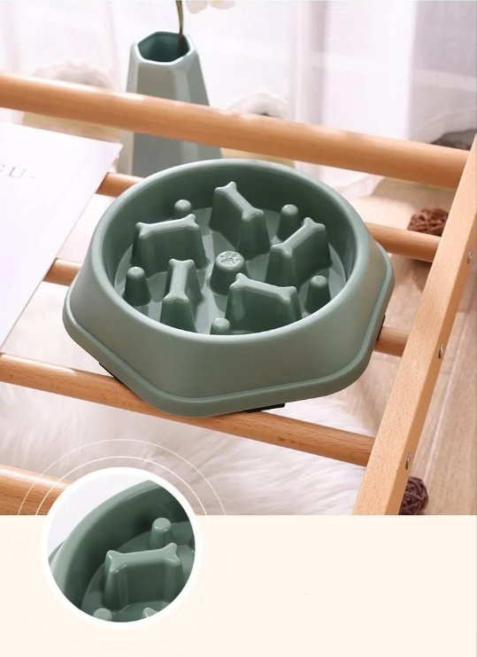 Foto 5 pulgar | Plato para Perro Xtellar Azul