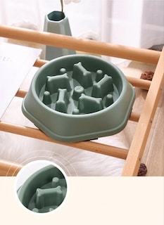 Foto 4 | Plato para Perro Xtellar Azul