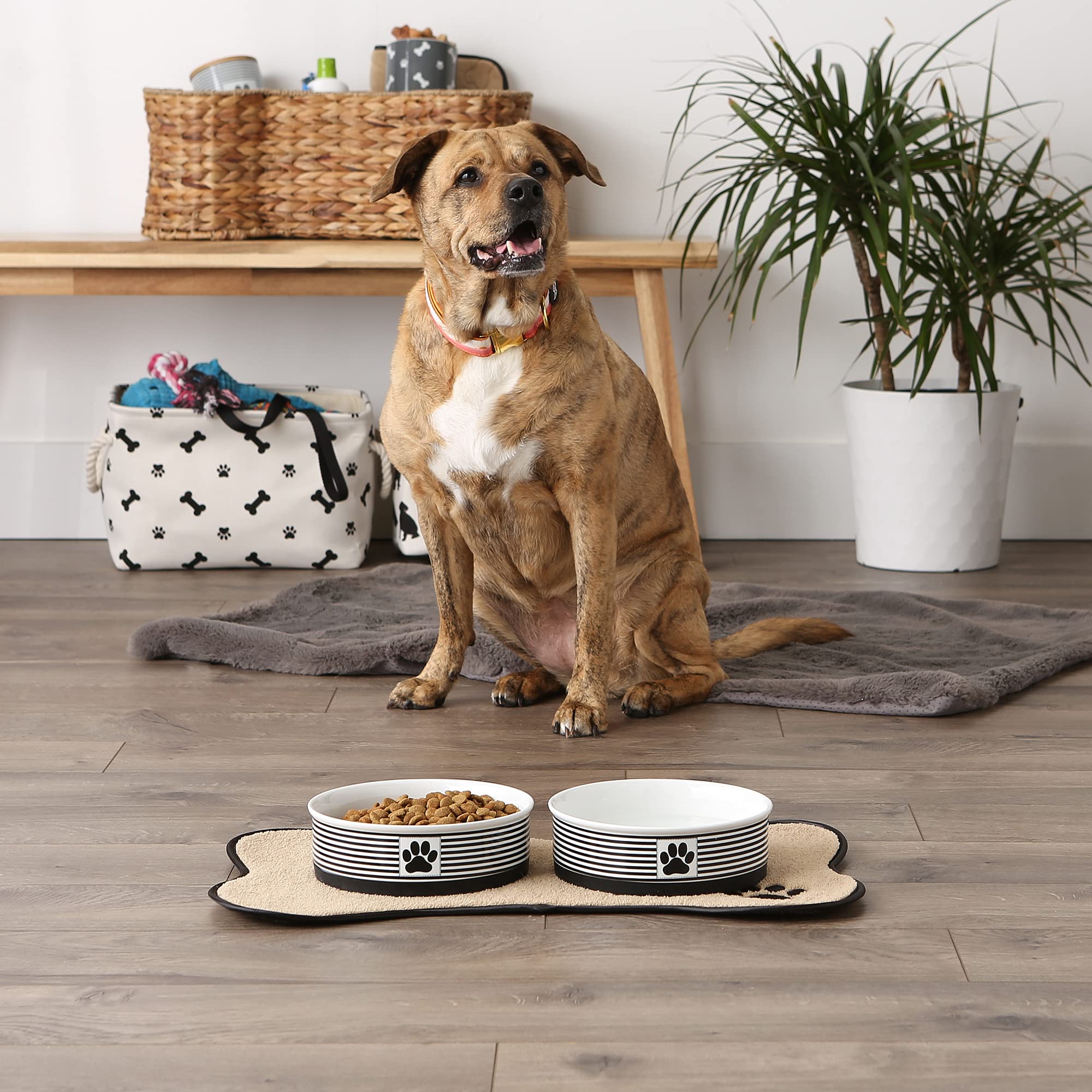 Foto 5 pulgar | Pet Bowls Dii Bone Dry De Cerámica Con Estampado De Patas A Rayas Para Mascotas - Venta Internacional.