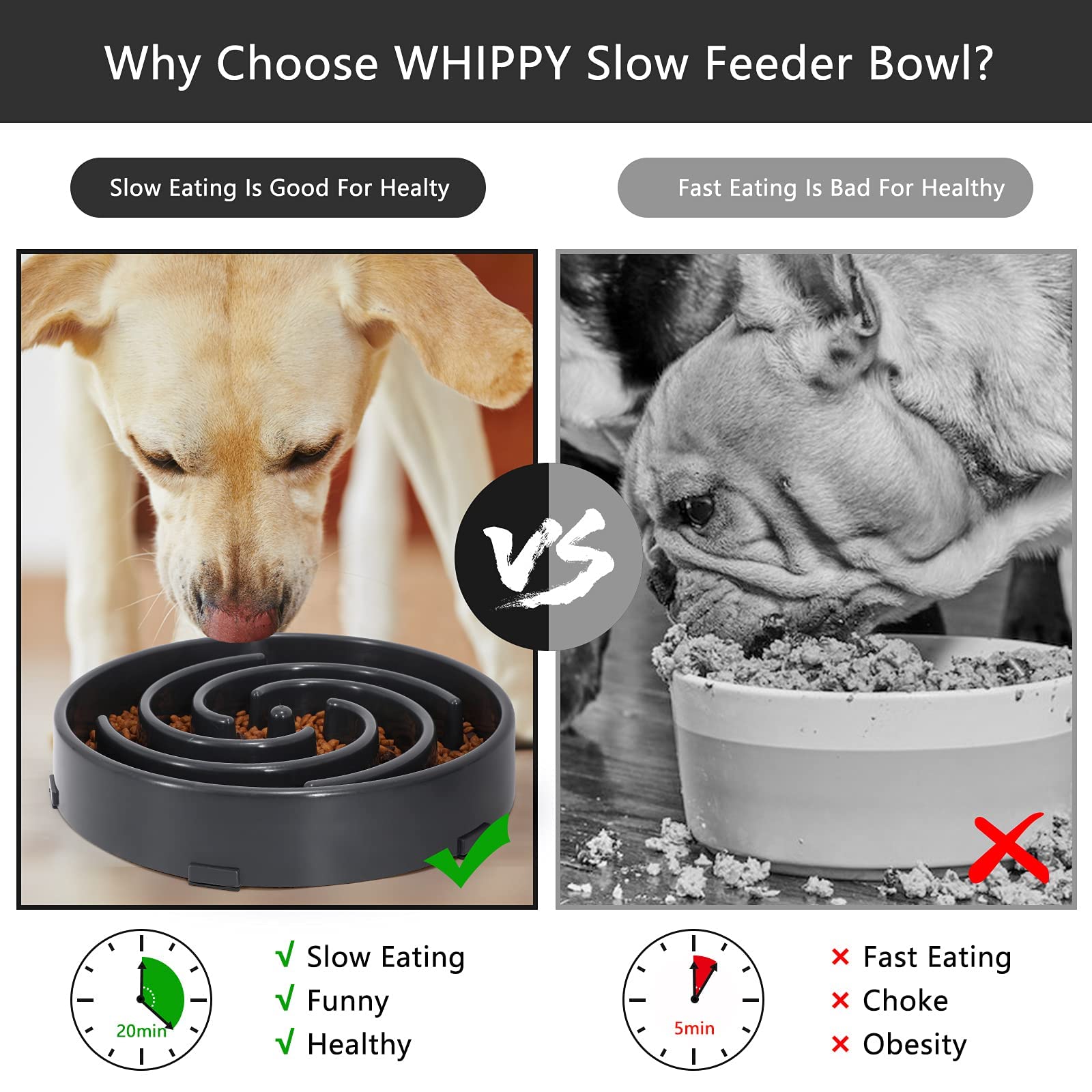 Foto 6 pulgar | Cuenco Para Perros Slow Feeder Whippy, Grande, Para Perros Grandes Y Medianos - Venta Internacional.