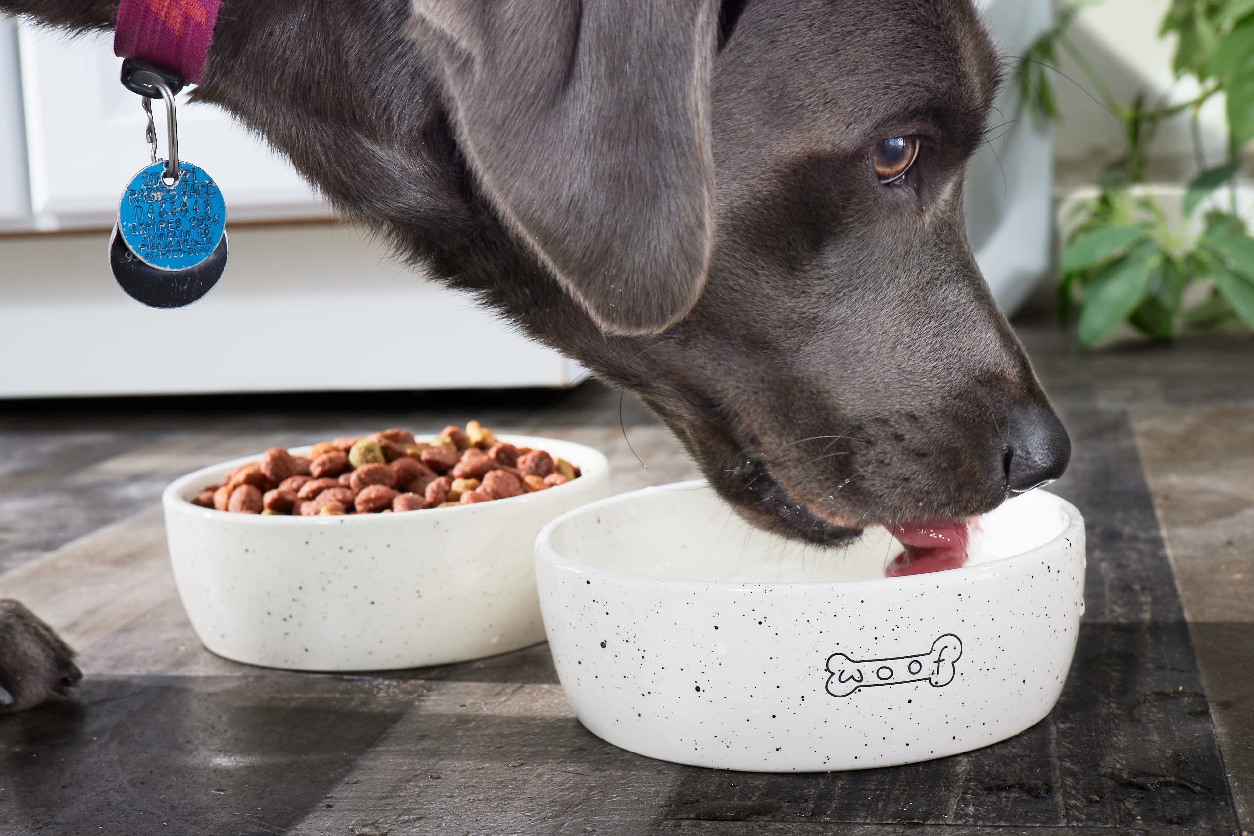 Foto 5 pulgar | Cuenco De Cerámica Para Perros Pearhead Woof, 710 Ml, Para Mascotas, 3 Tazas - Venta Internacional.