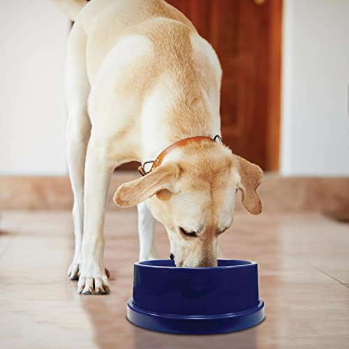 Foto 2 pulgar | Cuenco Refrigerante Para Mascotas K&h Pet Products Coolin' Blue 2.8l - Venta Internacional.