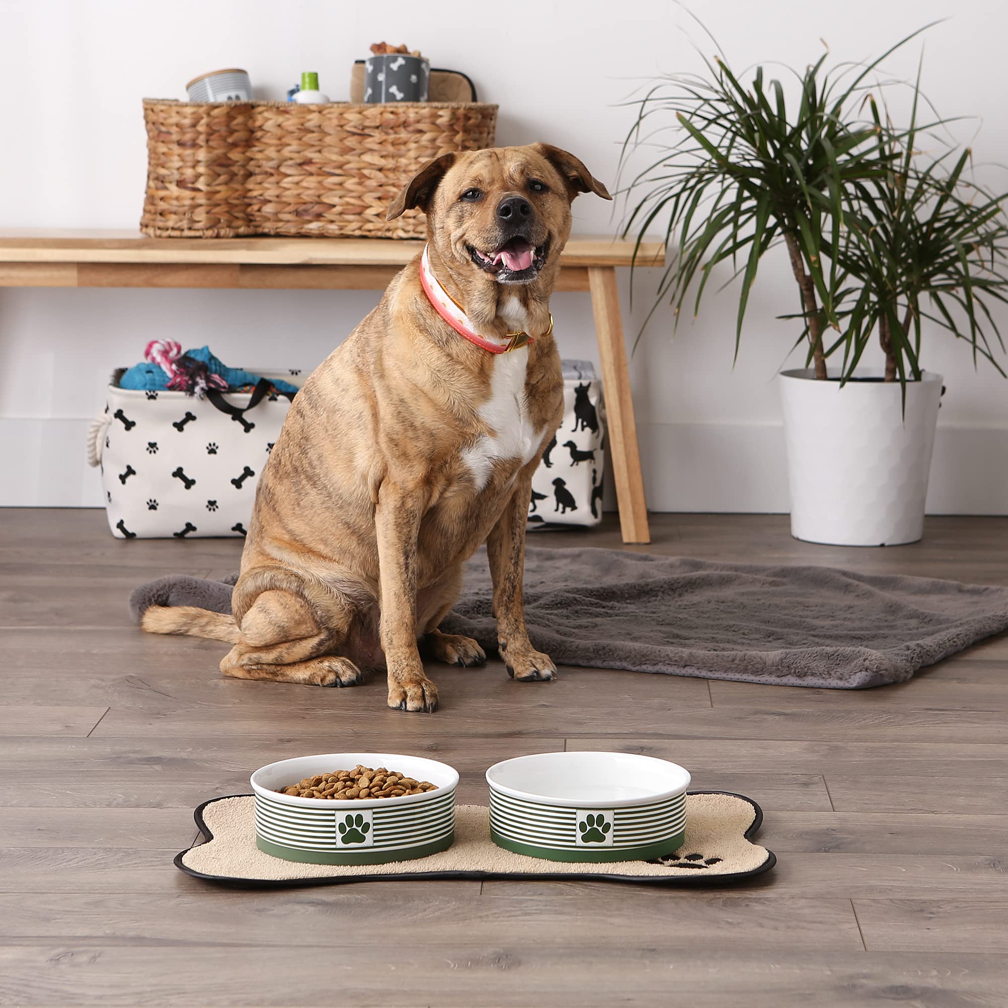 Foto 5 pulgar | Pet Bowls Dii Bone Dry De Cerámica Con Estampado De Patas A Rayas Para Mascotas - Venta Internacional.