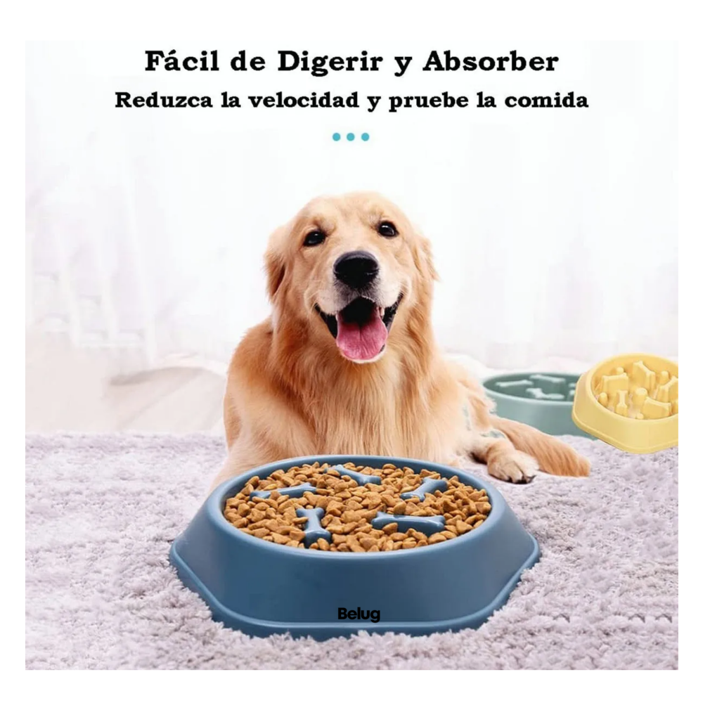 Foto 3 pulgar | Plato De Alimentación Mascota Belug, Verde