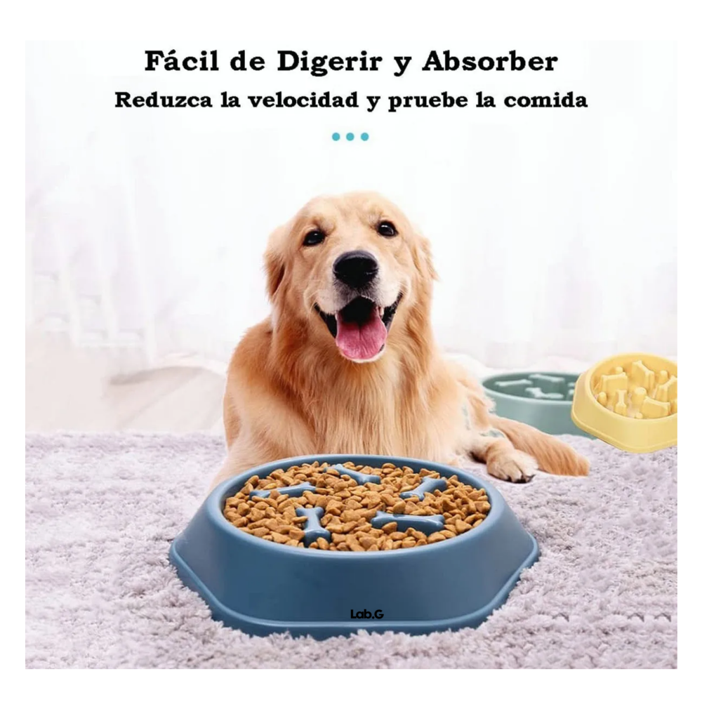 Foto 2 | Plato De Alimentación Mascota Lab.g,  Azul