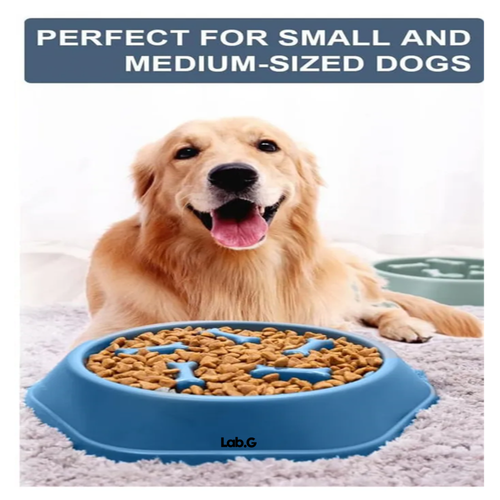 Foto 4 | Plato De Alimentación Mascota Lab.g,  Azul