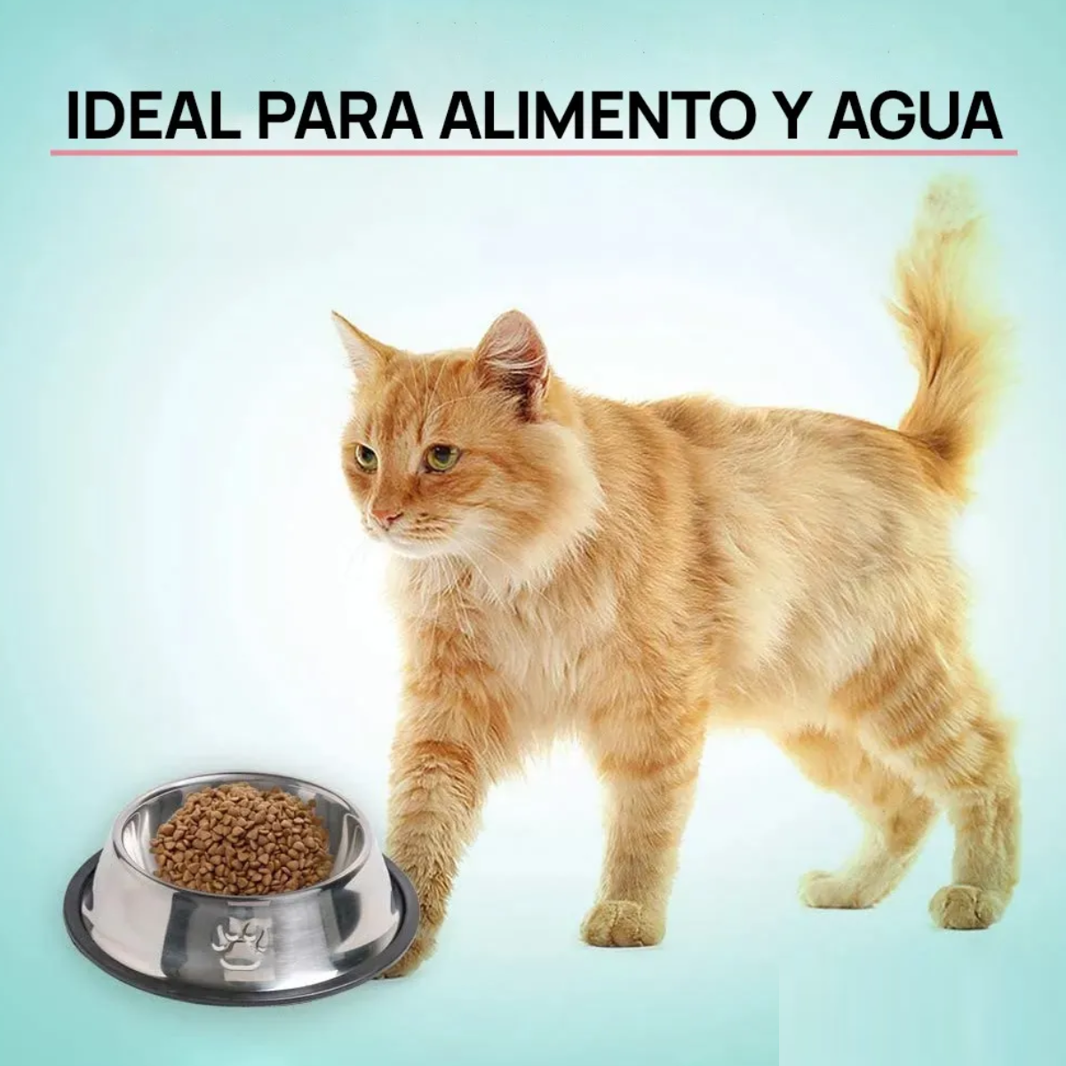 Foto 5 pulgar | 2 Pack Plato Mascota Comederos Para Agua Y Comida Lab.g Plata