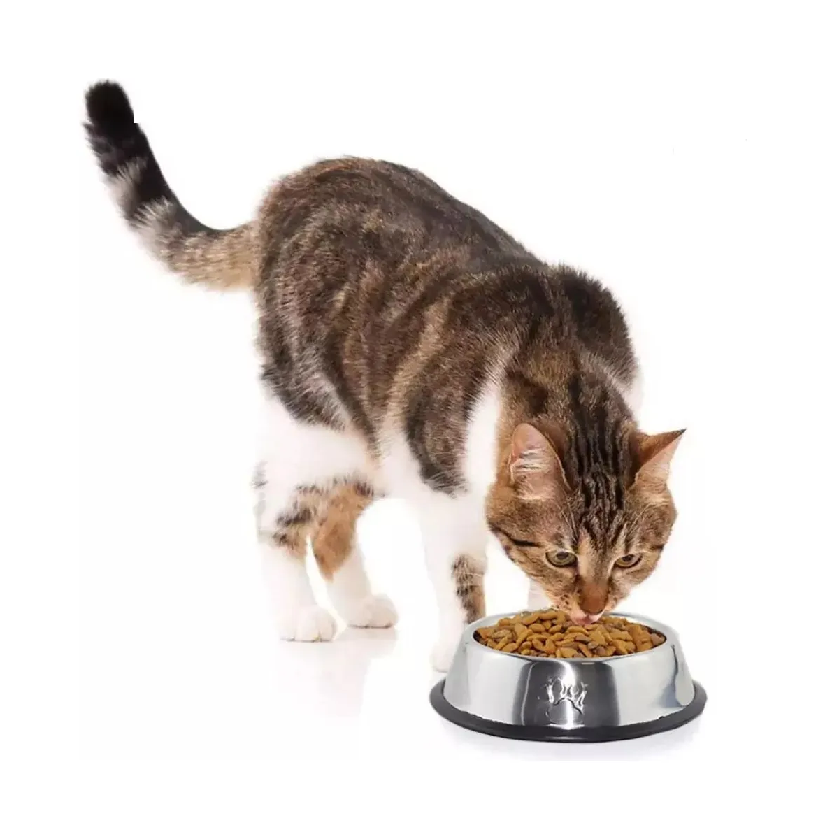 Foto 5 | 2 Pack Plato Mascota Comederos Para Agua Y Comida Lab.g Plata