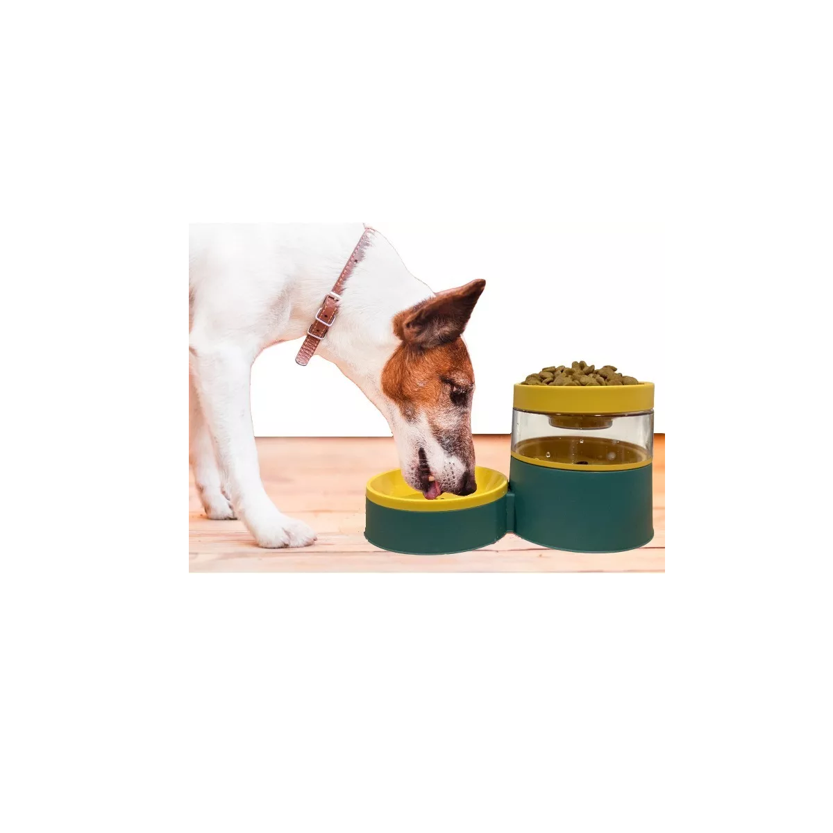 Foto 4 pulgar | Kit Comedero y Bebedero para Mascota 2 en 1  Eo Safe Imports Esi-8423 Multicolor