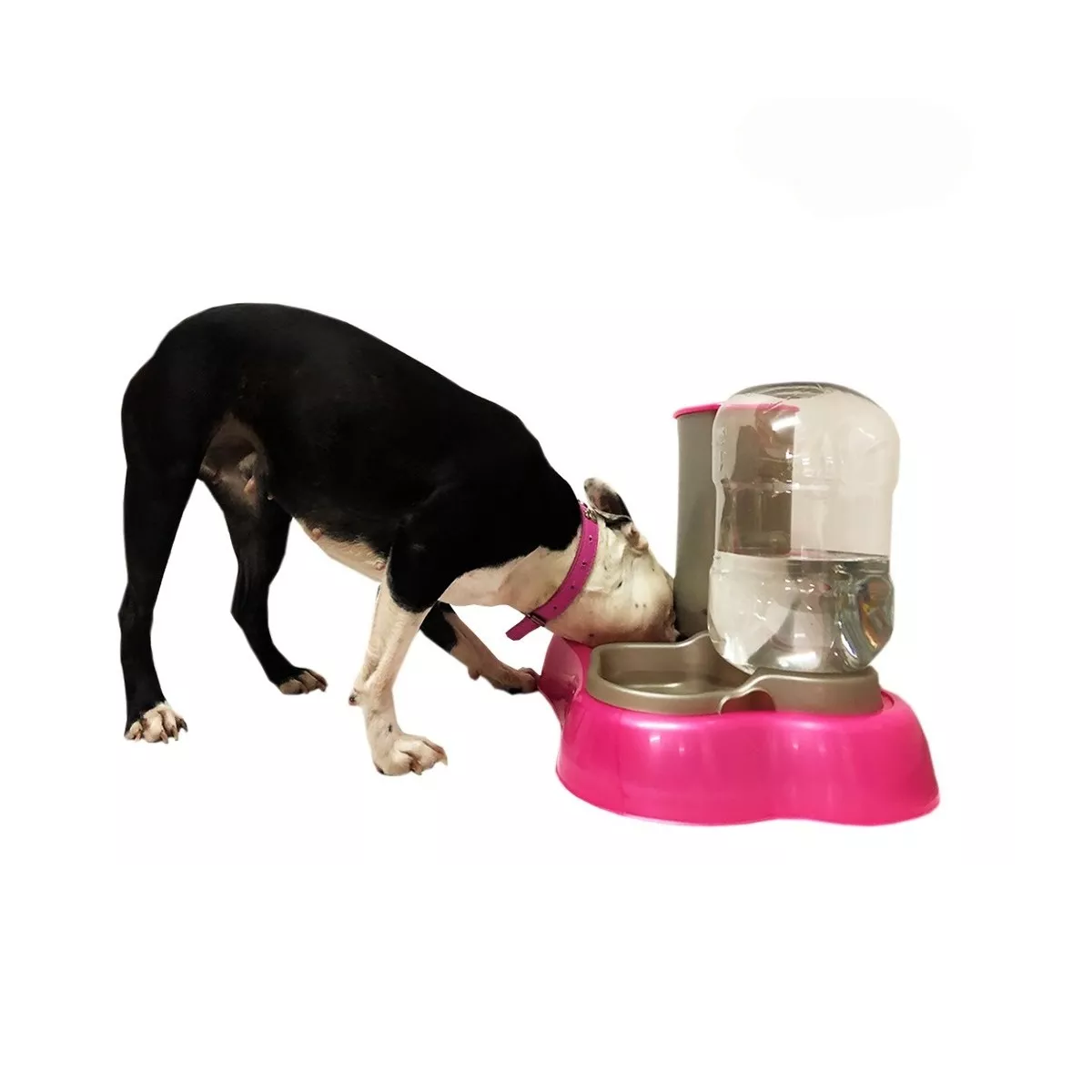 Foto 4 pulgar | Dispensador Comedero y Bebedero 2 En 1 Mascotas Eo Safe Imports Esi-8813 Rosa