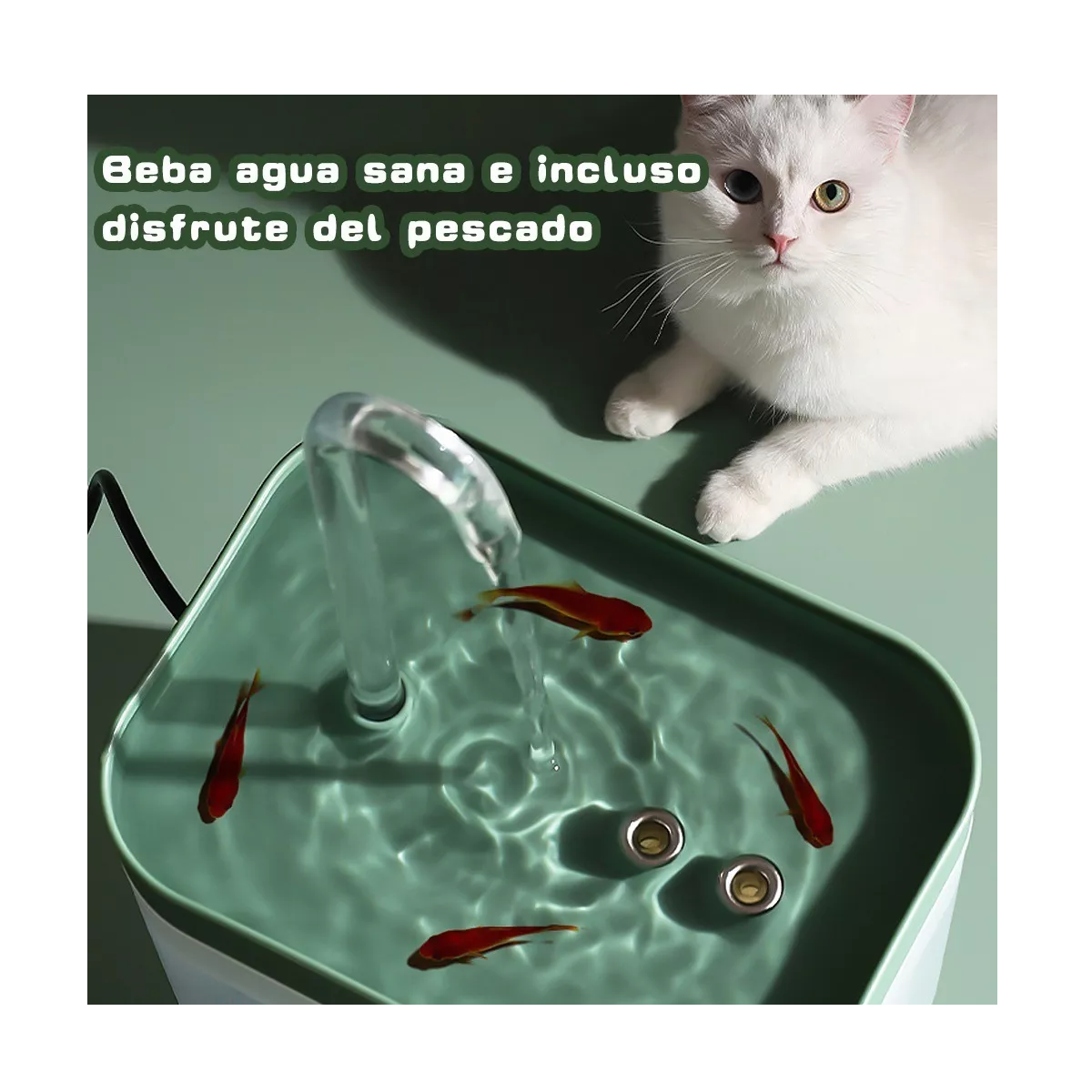 Foto 3 pulgar | Bebedero Automática con Filtro para Perros y Gatos 1.5l Eo Safe Imports Esi-8809 Verde