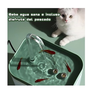 Foto 2 | Bebedero Automática con Filtro para Perros y Gatos 1.5l Eo Safe Imports Esi-8809 Verde
