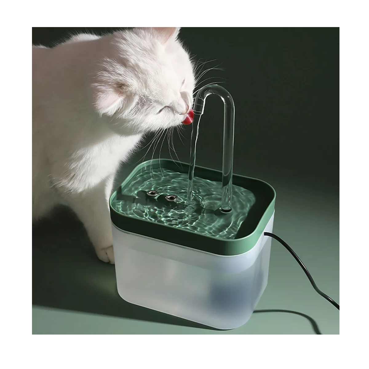 Foto 6 pulgar | Bebedero Automática con Filtro para Perros y Gatos 1.5l Eo Safe Imports Esi-8809 Verde
