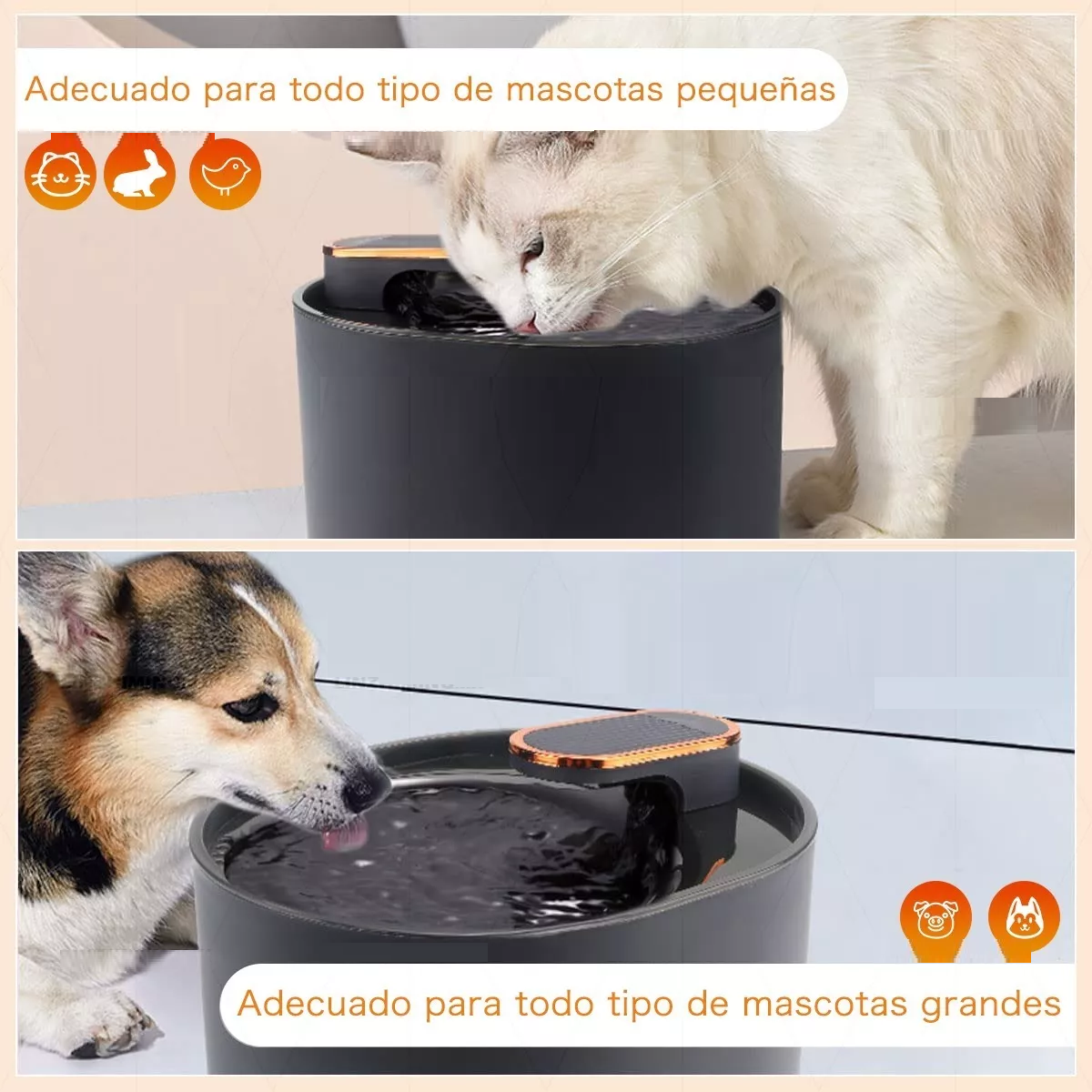 Foto 3 pulgar | Bebedero Automático para Perros y Gatos Eo Safe Imports ESI-10853 Negro