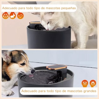 Foto 2 | Bebedero Automático para Perros y Gatos Eo Safe Imports ESI-10853 Negro