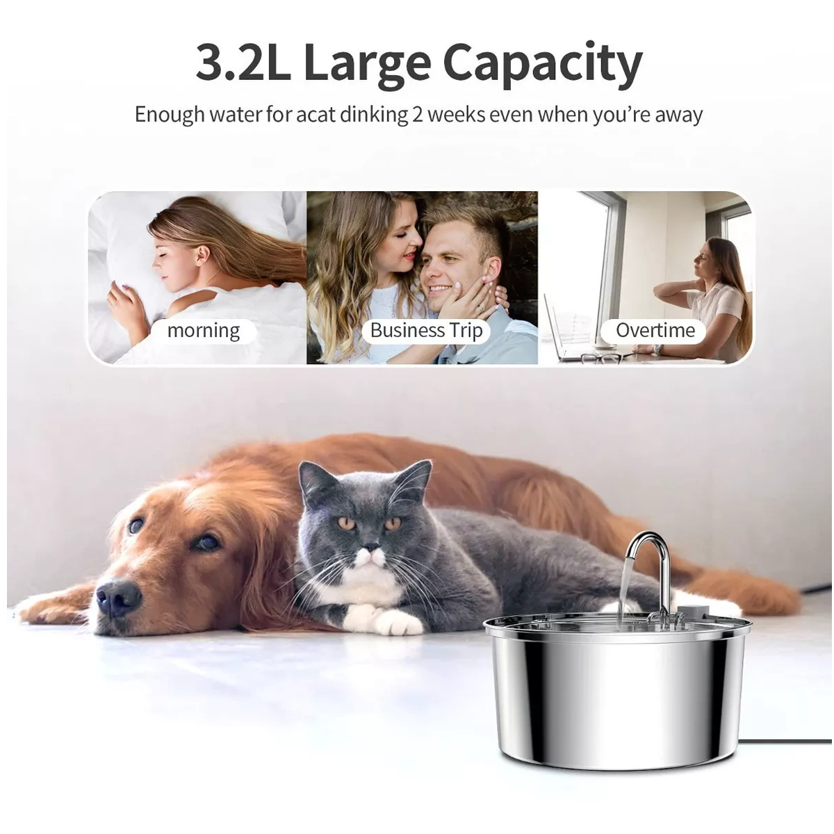 Foto 4 pulgar | Bebedero para Gatos y Perros Eo Safe Imports ESI-10854 Plateado