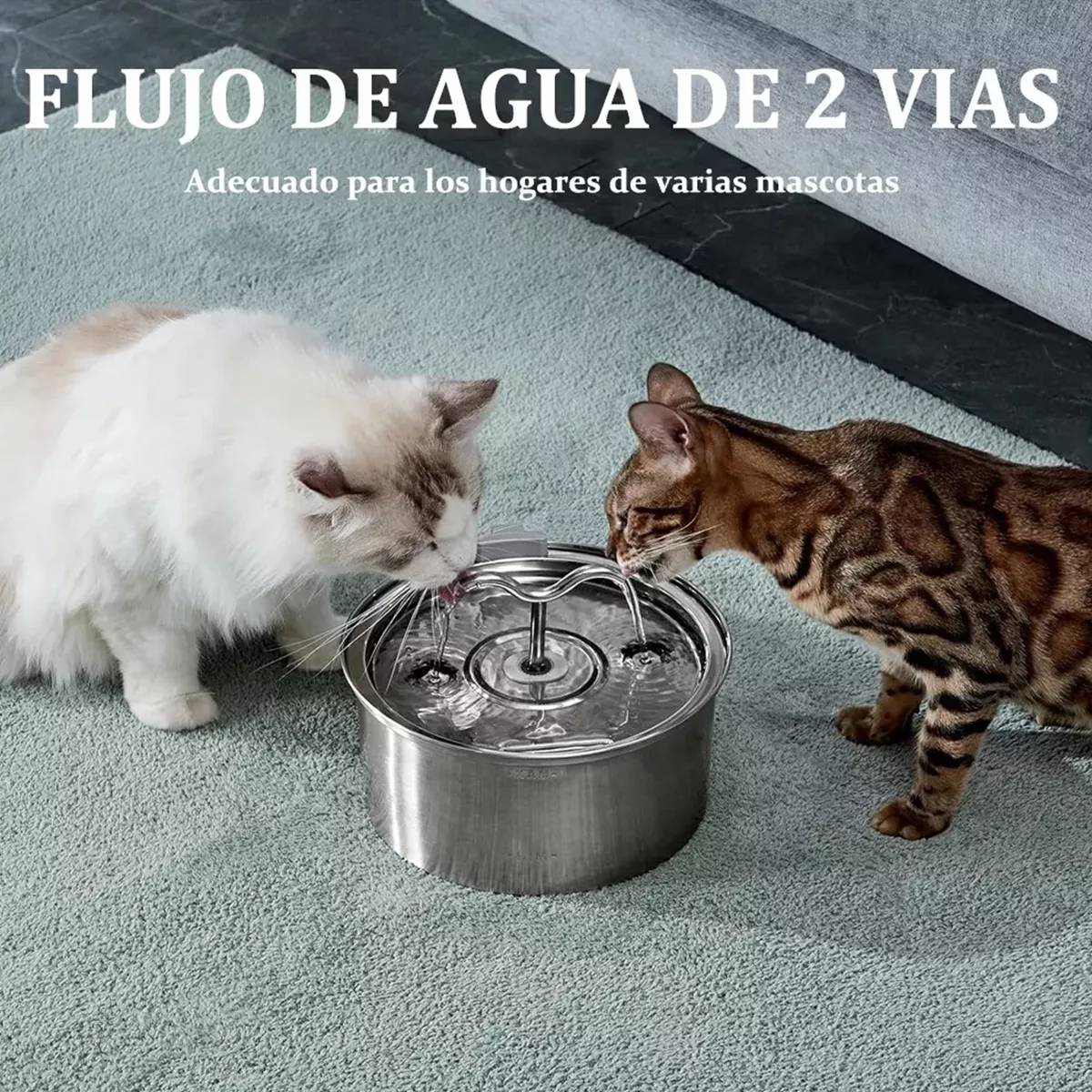 Foto 5 pulgar | Fuente y Bebedero de Acero Inoxidable para Mascotas de 3.2 l