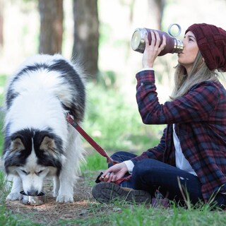 Foto 7 | Cuenco Para Perros Unido A Una Botella De Viaje Aislante De Acero Inoxidable - Venta Internacional.